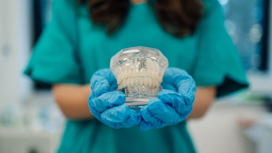 Dental Implant model held by dentist at Birgul Klinik, Istanbul