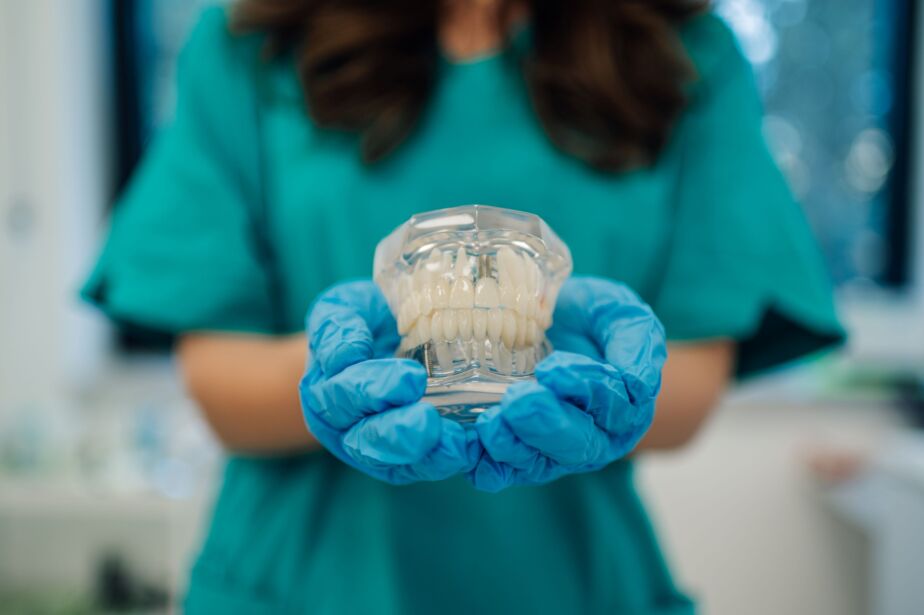 Dental Implant model held by dentist at Birgul Klinik, Istanbul