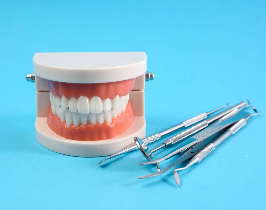 Dental crowns model with tools on blue background