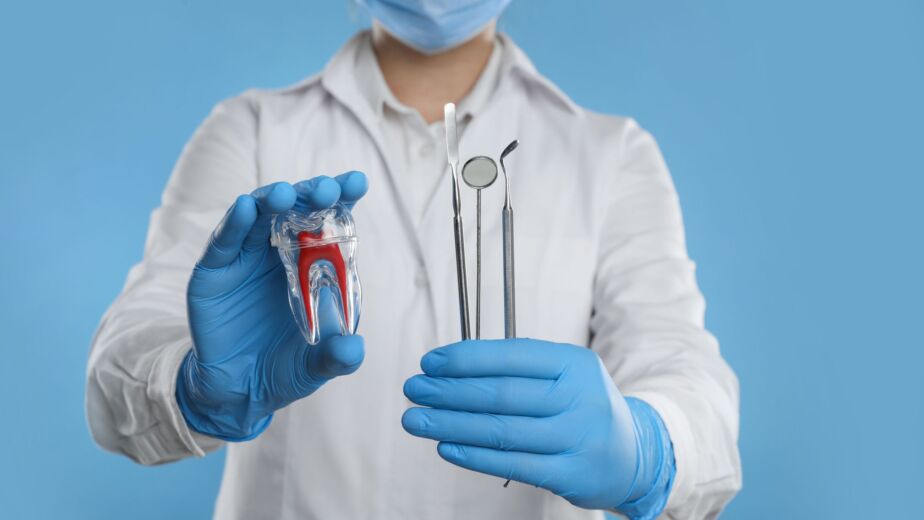 Dentist holding a tooth model and dental instruments to explain dental implant failure signs